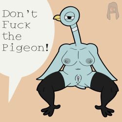 2023 anthro avian bird breasts columbid digital_drawing_(artwork) digital_media_(artwork) don't_let_the_pigeon_drive_the_bus english_text feathers female genitals hi_res looking_at_viewer nipples nude pigeon profanity pussy signature solo speech_bubble tail text wings