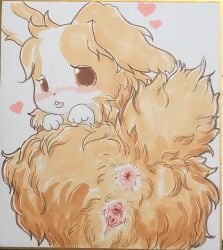 2025 anus beady_eyes brown_body brown_eyes brown_fur butt clitoral_hood diru female female_feral feral fur genitals hi_res inner_labia lagomorph leporid mammal messy_fur multicolored_body multicolored_fur narrowed_eyes one_ear_up paws presenting presenting_anus presenting_hindquarters presenting_vulva quadruped rabbit rear_view shaded soft_shading solo traditional_media_(artwork) two_tone_body two_tone_fur urethra vulva white_body white_fur
