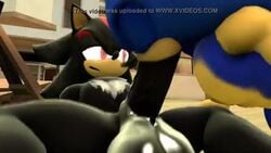 3d animated anthro big_balls big_penis blowjob cum cum_in_mouth fast_sex fuckboy furry gay mtymac shadow_the_hedgehog sonic_(series) sonic_the_hedgehog sound sound_effects tagme thick_penis video