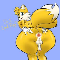 anthro behind_view big_ass big_thighs blue_eyes fox gloves inviting male_only puffy_anus purple_background simple_background sir_cums_a_lot small_penis solo solo_male sonic_(series) spreading_ass tails text white_fur wide_hips yellow_fur