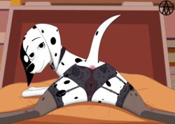 101_dalmatian_street 101_dalmatians anus delilah_(101_dalmatians) disney feral pussy