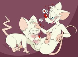 2021 all_fours animaniacs animaniacs_(2020) anthro balls blue_sclera blush bodily_fluids brainsister breath drooling duo erection fellatio fur genital_fluids genitals half-closed_eyes handjob handjob_while_penetrated head_scratch heart male male/male mammal mouse murid murine musical_note narrowed_eyes nude oral pawpads penile penis pink_sclera pinky pinky_(warner_brothers) pinky_and_the_brain precum rodent saliva scritching sex sitting size_difference slightly_chubby smile sweat the_brain tongue tongue_out warner_bros warner_brothers white_body white_fur