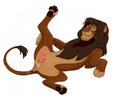 1boy animal_genitalia animal_penis anus balls disney fan_character felid feline_penis feral genitals lion lying male male_only mammal mane on_back pantherine penile_spines penis presenting presenting_penis priestofjashin simple_background solo spread_legs spreading the_lion_king