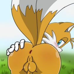 anal ass bent_over canid canine fox humanoid male male/male mammal pinup pose solo sonic_(series) spanky15 spankynutz69 tails