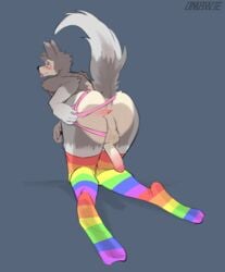 absurd_res anthro anus ass ball_tuft balls blush canid canine canis clothing digital_media_(artwork) erection fur genitals hair hi_res humanoid_genitalia humanoid_penis legwear looking_at_viewer looking_back male male_only mammal multicolored_clothing multicolored_legwear nude ombwie penis presenting presenting_anus presenting_hindquarters rainbow_clothing rainbow_legwear raised_tail simple_background smile solo solo_focus spread_anus spreading thigh_highs thong tongue tongue_out tuft underwear wolf