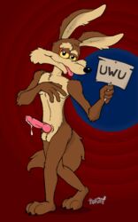 anthro bodily_fluids canid canine canis coyote genital_fluids genitals hokshi looking_at_viewer looney_tunes male mammal penis precum sign smooth_fur solo warner_brothers wile_e._coyote