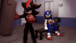 3d absurd_res balls boxing_gloves clothing digital_media_(artwork) dumbbell duo erection exercise genitals gym handwear hi_res male male/male muscular muscular_male penis punching_bag shadow_the_hedgehog sonic_(series) sonic_the_hedgehog sonicthebitch source_filmmaker weights workout