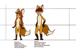 anthro canid canine dipstick_tail female fox green_eyes group hair kamperkiller_(artist) male male/female mammal model_sheet multicolored_tail red_hair sibling twins