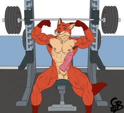 abs animal_genitalia anthro armpit_hair biceps big_penis bodily_fluids body_hair canid canine disney erection exercise flexing fox genitals goldeyboi gym male male_only mammal muscular muscular_legs muscular_male nick_wilde nude pecs penis solo sweat veiny_muscles weightlifting weights workout zootopia