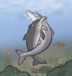 2018 aquatic atlantic_spotted_dolphin bubble cetacean cetacean_tail dolphin dolphin_tail dorsal_fin eyes_closed female feral feral_on_feral fin fish flippin-rad genitals grey_body grey_fin koda_(flippin-rad) male male/female mammal oceanic_dolphin penetration penile penile_penetration penis penis_in_vagina pink_penis sex toothed_whale underwater vaginal vaginal_penetration vulva water