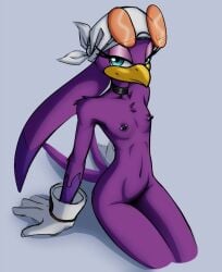 colored_sketch female female_only flat_chest furry hush_button jupiterorange nude purple_fur purple_hair sega small_breasts solo sonic_(series) sonic_riders sonic_the_hedgehog_(series) stare wave_the_swallow