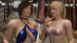 2girls 3d barn beastiality blender blender_(software) blonde_hair blue_lipstick blue_swimsuit breasts brown_hair choker cum emilie_de_rochefort eye_contact fence feral hay_bale horse horsecock indoors interior interior_background kazama_asuka leaking_cum pink_lipstick pink_swimsuit pointing self-upload semen smirk smug staring suggestive_gesture suggestive_look surprised surprised_expression swimsuits teasing tekken tekken_8 yuri