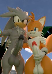 2boys 3d 3d_(artwork) anthro canine duo eulipotyphlan fingers fox fur furry gloves grey_body hedgehog looking_at_viewer male male_only masturbation multicolored_body multicolored_fur orange_body penis penis_grab pubes silver_the_hedgehog sonic_(series) tails tuft twintailssfm white_body