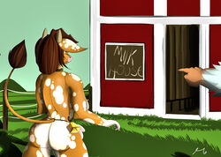 absurd_res animal_humanoid anthro ass backpussy bodily_fluids bovid bovid_humanoid bovine bovine_humanoid breast_milking cattle cattle_humanoid cowbell equid equine farm farmer farming female fur grass hi_res horse humanoid lactating mammal mammal_humanoid milk plant raised_tail rear_view solo spots teats tinbash udders white_spots yellow_body yellow_fur