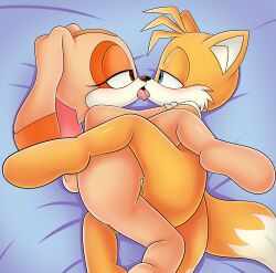 cream the rabbit from sega by takaneru