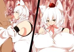 momiji inubashiri from touhou by destruction fz