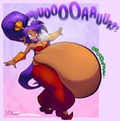 shantae (character) from shantae by blackjackart