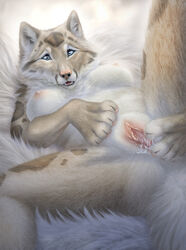 absurd_res anthro arctic_wolf blue_eyes bodily_fluids breasts canid canine canis clouded_leopard felid female fur genital_fluids genitals glistening glistening_eyes hi_res humanoid_genitalia humanoid_pussy hybrid jocarra looking_at_viewer mammal markings nilo_(cardinilo) nipples open_mouth pantherine pawpads paws presenting presenting_pussy pussy pussy_juice solo spread_legs spread_pussy spreading tan_body tan_fur teeth wet white_body white_fur wolf