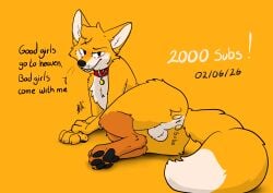 absurd_res animal_genitalia animal_penis anthro anus balls barely_visible_anus barely_visible_genitalia barely_visible_penis blush body_blush canid canine canine_genitalia canine_penis celebration chris_(raposanaranja) collar cute_fangs english_text fangs fluffy_balls fox fur genitals good_girl hi_res looking_at_viewer mammal markings numbers_on_anus orange_body penis presenting raposanaranja relaxing sheath simple_background simple_coloring simple_eyes smile smiling_at_viewer smirk smirking_at_viewer solo tail tan_body tan_fur teeth text tongue tongue_out whiskers