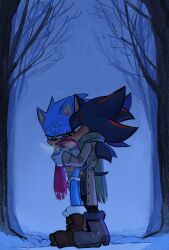 2boys anal_penetration anal_sex black_fur blue_fur cold green_eyes leg_up night nighttime outdoor_sex outdoors pants_down pinklilim red_eyes scarf shadow_the_hedgehog snow snow_boots snowing sonic_(series) sonic_the_hedgehog sonic_the_hedgehog_(series) standing_sex tree trees visible_breath winter winter_clothes yaoi
