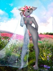 absurd_res anthro balls bovid breasts caprine flowers_in_hair futanari genitals goat gynomorph hi_res intersex mammal mertzdn penis rose_(rosethegoat) solo veil