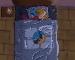 absurd_res animal_genitalia animal_penis anthro balls blue_body blue_fur canid canine canine_genitalia canine_penis canis cellphone cuddling duo electronics fox fur genitals guto_raccoon hi_res hybrid male male/male mammal night orange_body orange_fur penis phone procyonid raccoon ruby_wf ruby_wolfox sex sleep_sex sleeping spooning under_covers wolf