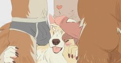 2024 anthro balls bear briefs briefs_only brown_body brown_fur bulge canid canine canis clothed clothing domestic_dog erection eyes_closed fur genitals heart_symbol hi_res humanoid_genitalia humanoid_penis male male/male male_anthro mammal nude nude_anthro nude_male open_mouth penis pink_penis remulle_(artist) surrounded_by_penises tail tan_body tan_fur tongue tongue_out topless topless_anthro topless_male underwear underwear_only wrigley_(d0g_problems) zero_pictured