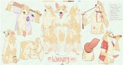 2022 aloha_shirt animal_genitalia animal_penis anthro ball ball_in_mouth balls baseball_(ball) baseball_bat bat_(object) bound butt canid canine canine_genitalia canine_penis canis chicago_cubs clothing collar domestic_dog english_text erection food front_view fully_sheathed fur genitals hand_on_hip hands_behind_back hands_tied hands_tied_behind_back hi_res holding_food holding_object holding_penis hot_dog knot knotted_penis leash leash_in_mouth leashed_collar looking_at_viewer male male_anthro mammal markings mlb model_sheet mostly_nude mostly_nude_anthro mostly_nude_male nude nude_anthro nude_male object_in_mouth open_mouth open_smile pattern_clothing pattern_shirt pattern_topwear penis penis_tip pink_penis rear_view remulle_(artist) sheath shirt smile solo spots spotted_body spotted_fur spread_butt spreading standing tail tan_body tan_fur teal_eyes teeth text tongue tongue_out topwear wrigley_(d0g_problems)
