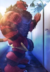 1397_david balls bara barazoku body_hair flaccid furry hairy incineroar male male_only muscles muscular nintendo penis pokemon solo solo_male tiger
