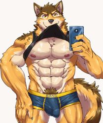 1boy abs animated anthro barrel_(live_a_hero) blue_underwear brown_body brown_fur bulge canid canine canis cellphone clothing clothing_lift fur furry genital_outline genitals humanoid_genitalia humanoid_penis live-a-hero looking_at_viewer male male_only mammal mirror_selfie muscular muscular_male nipples partially_clothed pecs penis penis_outline phone pubes selfie shirt shirt_lift short_playtime simple_background smartphone solo tan_body tan_fur topwear underwear video_games weedwolfeatmeat white_background wolf