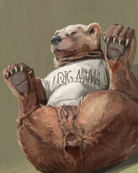 anatomically_correct anatomically_correct_genitalia anatomically_correct_vulva animal_genitalia animal_vulva anus bear brown_body brown_fur claws clothed clothed_feral clothing cosmiclife female feral fur genitals hi_res legs_up lying mammal on_back pawpads realistic_feral shirt short_tail solo t-shirt tail topwear ursine_vulva vulva
