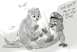 anatomically_correct anatomically_correct_genitalia anthro balls carrot_(artist) duo genitals hi_res kairan_(kairan) male male/male mammal maverick_clamshucker mustelid original original_character original_characters penis sex the_forest_of_love