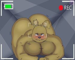 1boy anthro blush butt camera_view five_nights_at_freddy's furry furry_only gay humanoid kumabear357 male male_only muscular pecs rabbit solo solo_male springtrap springtrap_(fnaf) stuck stuck_in_vent sweat