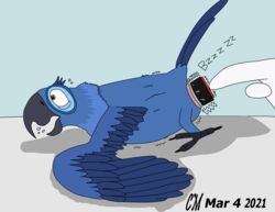 absurd_res avian bird blu_(rio) blue_sky_studios feral hi_res lightning_the_skrill male parrot rio_(series) sex_toy sex_toy_in_ass solo vibrator vibrator_in_ass