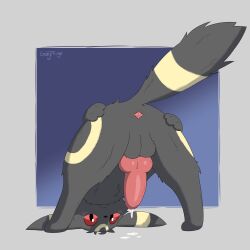 animal_genitalia animal_penis anus balls bent_over black_body black_fur blush blush_lines bodily_fluids canine_genitalia canine_penis cum cum_drip dripping eeveelution feral fur generation_2_pokemon genital_fluids genitals gooeythings hi_res looking_at_viewer male nintendo penis pokemon pokemon_(species) red_eyes solo spread_anus spreading umbreon upside-down