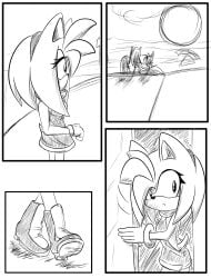 amy_rose anthro earts01 etzioarts01 female hide secret sonic_(series)