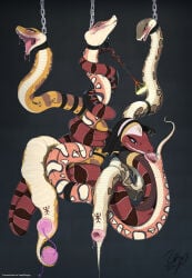 anal_beads animal_genitalia asphyxiation bite blush bodily_fluids branded branding_iron cloaca cloaca_juice collar female female/female feral forked_tongue gaping gaping_cloaca genital_fluids genitals group hi_res nun_outfit open_mouth reptile scalie sex_toy snake tongue tongue_out zerx0