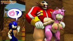 amy rose from sonic (series) by tomop