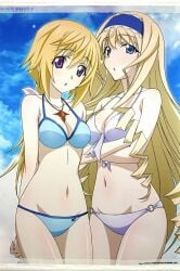 cecilia alcott from infinite stratos