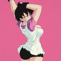 videl from dragon ball z