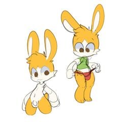 2020 anthro balls ciavs clothing genitals hi_res humanoid lagomorph leporid male male_only mammal penis rabbit shirt simple_background solo thong topwear underwear