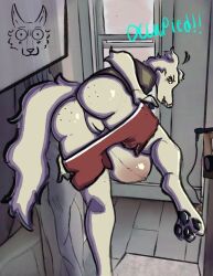 2025 anthro ass belly_blush bent_leg black_pawpads blush body_blush borzoi bottomwear bottomwear_down canid canine canis clothed clothing dialogue digital_drawing_(artwork) digital_media_(artwork) domestic_dog dressing english_description english_text ethel_(moscoviumdraws) female fur genitals hi_res humanoid_hands hunting_dog looking_at_viewer looking_back looking_back_at_viewer mammal moscoviumdraws navel on_one_leg outie_navel partially_clothed pawpads pink_nose pregnant pregnant_anthro pregnant_female raised_leg shorts shorts_down sighthound solo standing tail text vulva walk-in white_body white_fur yelling