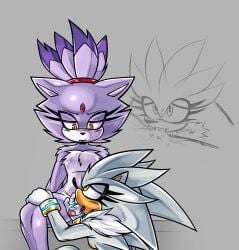 blaze the cat from sega by kibichi