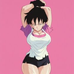 videl from dragon ball z