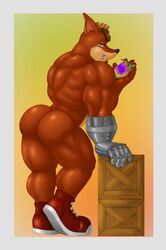 1boy activision anthro arched_back arm_support ass back_muscles bandicoot blue_eyes border butt_focus clothing crash_(series) crate crunch_bandicoot dripping eating food footwear footwear_only fruit fur grey_border hi_res holding_food holding_fruit holding_object hunnipanda looking_at_viewer male male_only mammal marsupial mostly_nude muscular muscular_anthro muscular_male narrowed_eyes plant prosthetic prosthetic_arm prosthetic_limb rear_view red_body red_clothing red_footwear red_fur red_shoes shoes shoes_only solo video_games wumpa_fruit