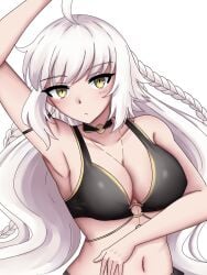 jeanne alter from fate (series) by androxg