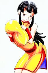 chichi from dragon ball by area5169458561