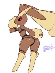 3:4 crossman female hi_res lingerie lopunny nintendo pokémon_(species) pokemon pokemon_(species) video_games