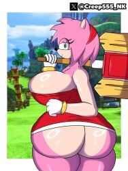 amy_rose big_ass sonic_the_hedgehog sonic_the_hedgehog_(series) thick thick_thighs