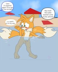 accidental_exposure beach blushing embarrassed exposed foreskin fox fur furry mobian_(species) nude paws penis sonic_(series) swimming tails tails_the_fox